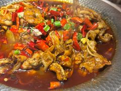 -美蛙四季(望京凯德茂店)