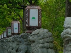 -高旻寺