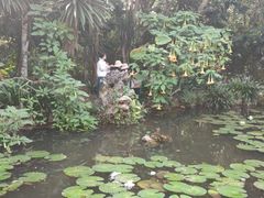 -中国科学院西双版纳热带植物园