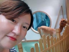 -藦茜花园宠物主题亲子互动体验馆(国顺东路店)