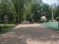 -唐城墙遗址公园