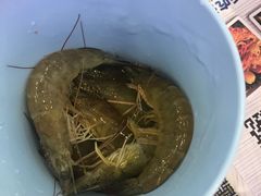 -澜悦港海鲜体验主题餐厅