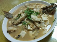 -煲来饱去冷水鱼