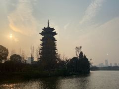 -洋湖国家湿地公园