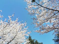 -白塘生态植物园