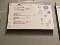 -北京周口店北京人遗址博物馆