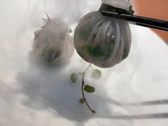 -觀芷隐轩