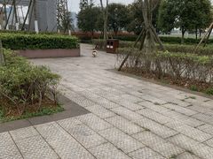 -洋湖国家湿地公园