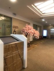 -北京明德医院