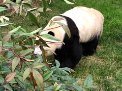 -西安秦岭野生动物园