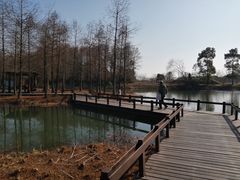 -梁鸿国家湿地公园