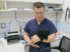 -中农国际动物医院24小时·猫科·骨科·急重症中心