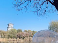 -Supine Bistro溯泮餐厅