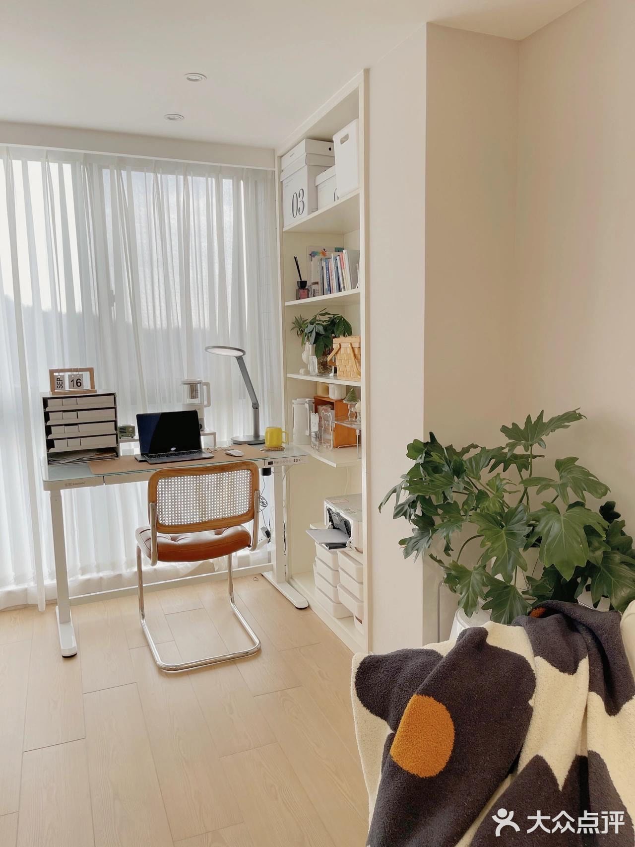 秋天的原木风客厅️暖暖的真好看！