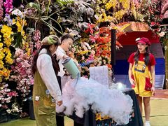 -正佳雨林生态植物园