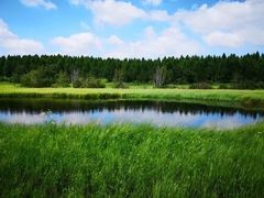 -塞罕坝国家级自然保护区