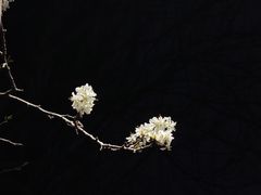 -回龙观体育文化公园