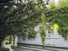 -日出青木