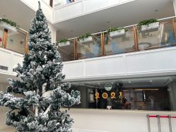 -盈月阁母婴护理中心·月子中心·月嫂育儿嫂