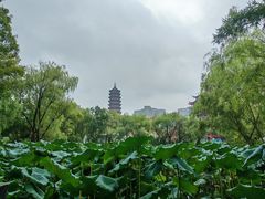 -长兴太湖图影湿地文化园