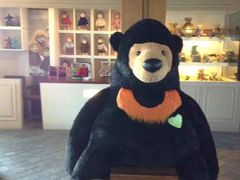 -济州岛泰迪熊博物馆