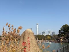 -金鸡湖桃花岛