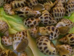 -棠宴酒店(汉口学院店)