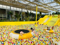 -南宫五洲植物乐园