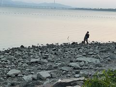 -深圳人才公园