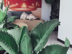 -新航道雅思托福·留学·考研培训(人民广场校区)