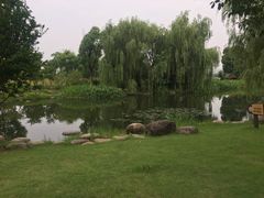 -澹台湖公园
