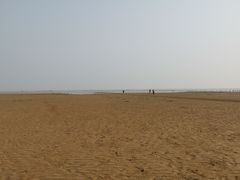 -刘家湾赶海园