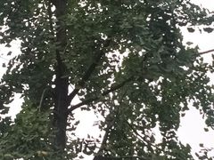 -西南民族大学南区(双流校区)