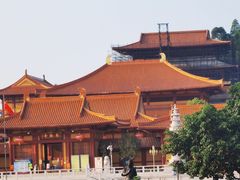 -三水森林公园
