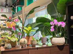-谷咖啡·鲜花绿植花园餐厅