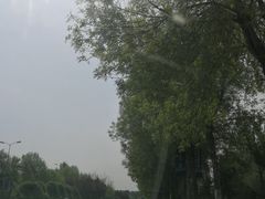 -五环公园