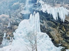 -少华山国家森林公园