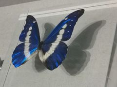 -青藏高原自然博物馆