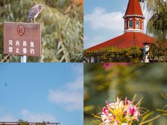 -花开海上生态园