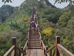 -大岭沟猕猴桃谷风景区
