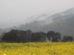 -新安江山水画廊风景区