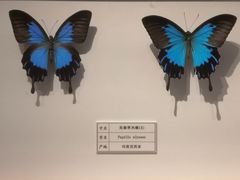-台州博物馆
