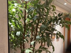 -康逸居·始于2002(海安店)