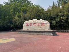 -莲花池公园