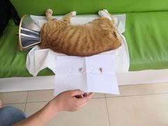 -美迦爱-牙专科·兔科·骨科诊疗中心(北苑店)