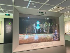 -中国茶叶博物馆(双峰馆区)