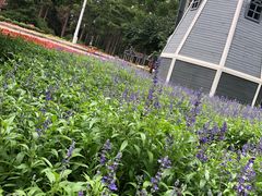 -黑龙江省森林植物园