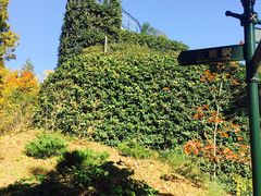 -三鹰之森吉卜力美术馆