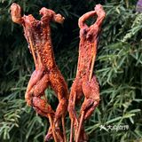 大连的！真的没有对手…（好吃不贵）