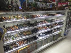 -玩具反斗城(正大广场店)